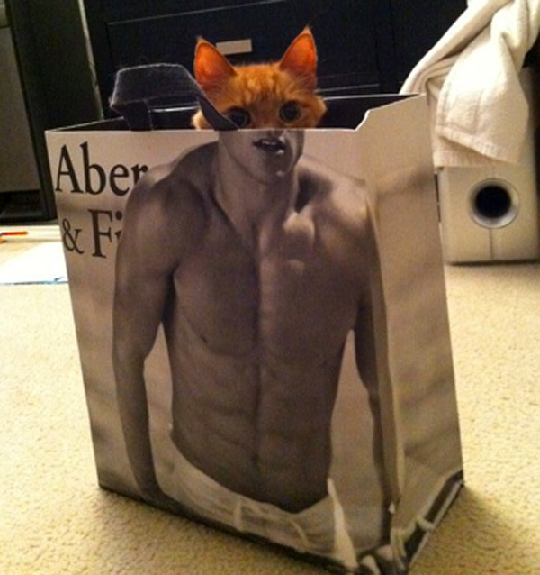 catman_bag_abs.jpg