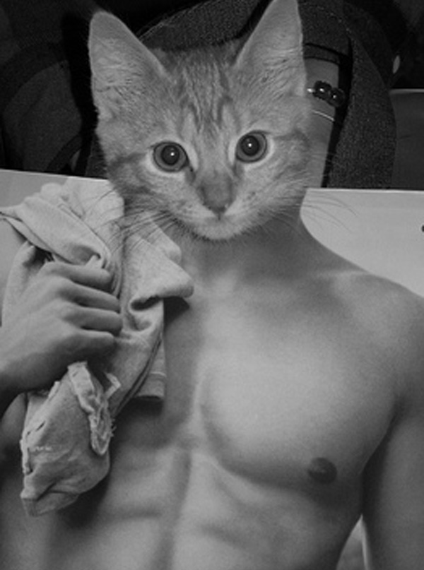 catman_cat_man_bag_abs_03.jpg